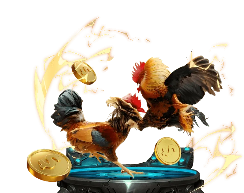 Chiến lược cá cược đá gà Kuwin02